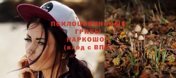 таблы Армянск